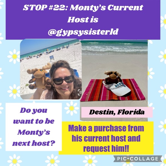 MONTY MOOSE TRACKING! Where in the Posh Universe is Monty Moose? - Picture 8 of 16